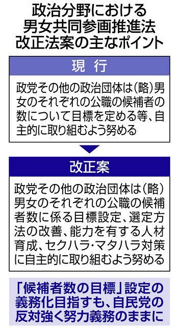 女性議員候補の擁立目標義務付け 自民反対で断念 超党派議連 東京新聞 Tokyo Web