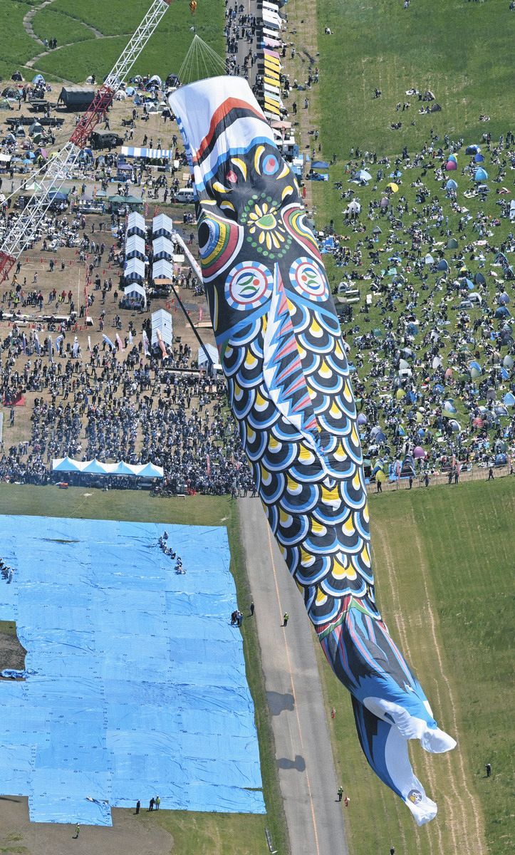 重さ330kg、全長100mの巨体、ふわり 埼玉・加須のジャンボこいのぼり