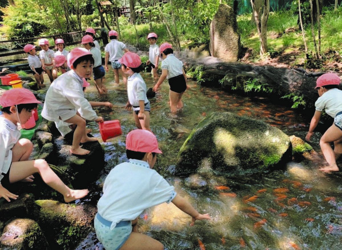 自然観察園のせせらぎで魚を捕まえようとする園児たち 