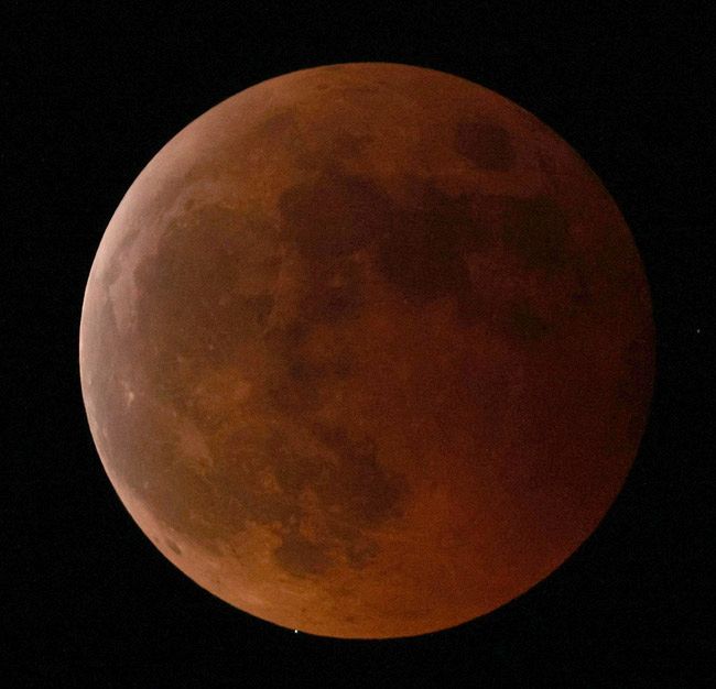 皆既月食と天王星食 ４４２年ぶりの天体ショー 東京新聞 Tokyo Web