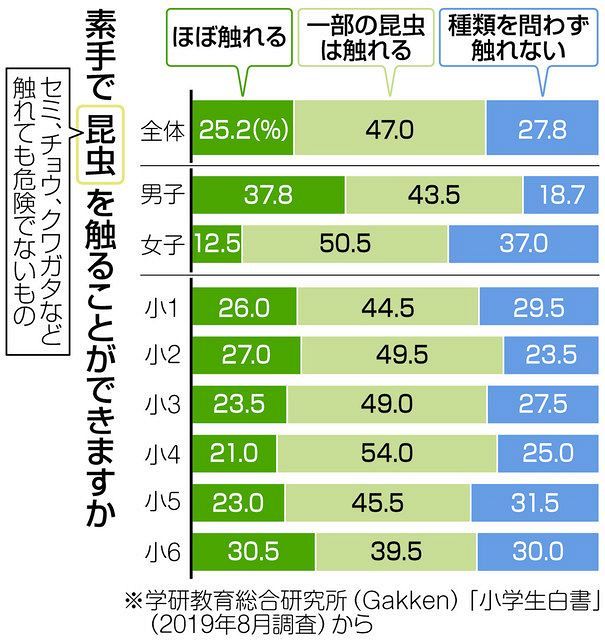 くらしの中から考える 昆虫採集 みんなの声 東京新聞 Tokyo Web