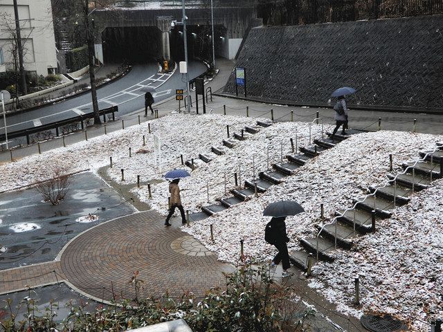 天気予報 川崎市麻生区