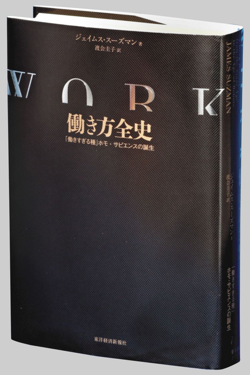 オープンセール 福袋 書評＞『働き方全史 「働きすぎる種」ホモ・サピエンスの誕生 膝当て