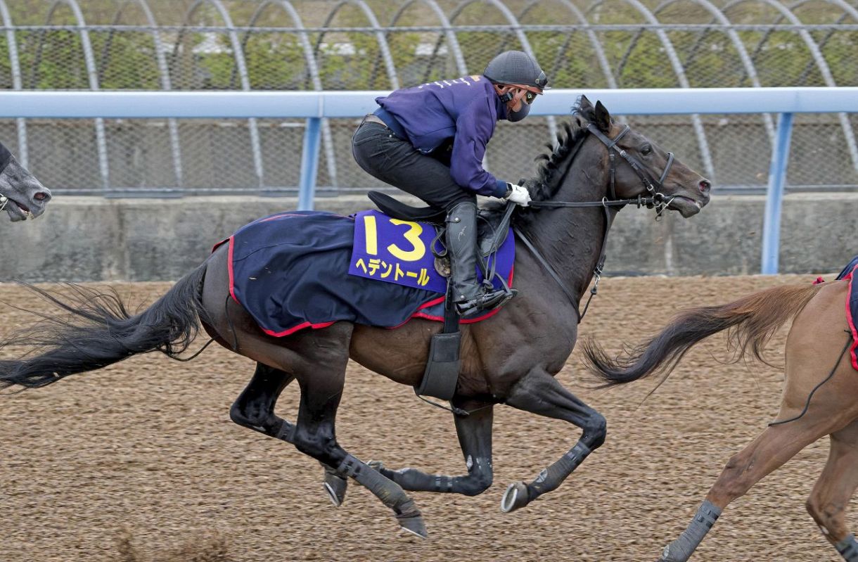 天皇賞・春連覇狙うヘデントール 競馬、最終追い切りで態勢整える