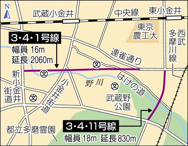 小金井市で政治問題化した2本の都道計画が分断しようとする「はけ」 「奇跡に近い」自然環境とは：東京新聞 TOKYO Web