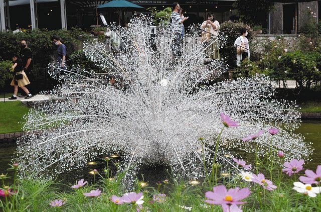 過去最多の300本3万粒 恒例クリスタルのススキ 箱根ガラスの森