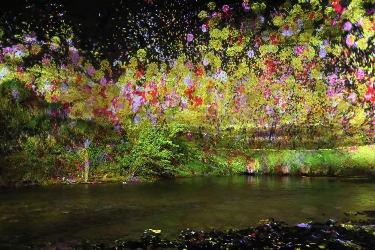 夜の養老渓谷に光の幻想 絶壁や森林、川面…自然生かし映像、アート