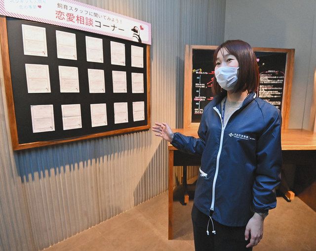 もうすぐバレンタイン 水の生き物に 恋愛相談 すみだ水族館 東京新聞 Tokyo Web
