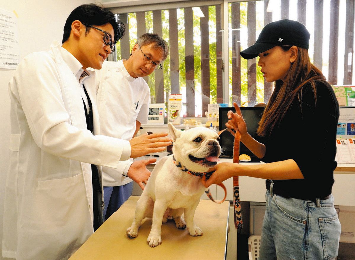 犬の皮膚トラブル 特別診療 前橋市内の「おおとね動物病院」 愛知の