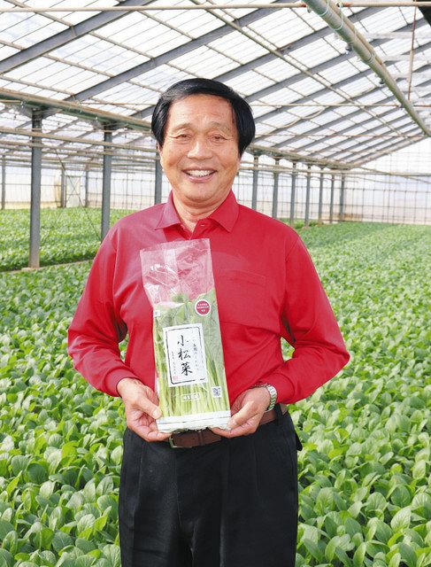 勳六等単光旭日章(略授無し)と警視庁創立100年記念・日本春秋書院同人記章その他 勲六等単光旭日章 / 古本、中古本、古書籍の通販は「日本の古本屋