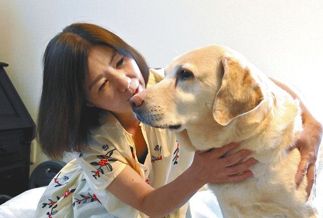 盲導犬の余生 ワン ダフルに 引き取りボランティア シニア活躍 つらいこと以上の喜びくれた 東京新聞 Tokyo Web 盲導犬の余生 ワン ダフルに 引き取りボランティア シニア活躍 つらいこと以上の喜びくれた 東京新聞 Tokyo Web