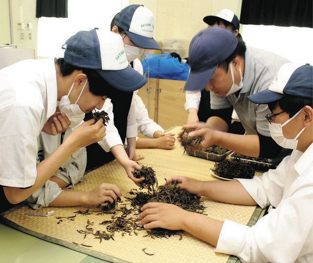 発酵工程を終え、薄茶色になった茶葉の香りを確かめる生徒ら＝いずれも狭山市の狭山工高で