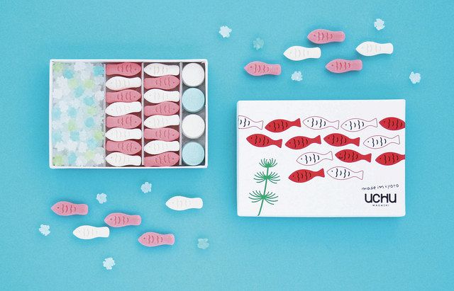 ⭐︎金魚さん専用⭐︎ ff7f94a94e67216af8e9a99b00b5b1