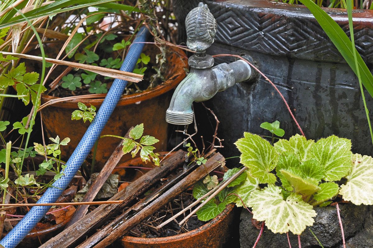 洪水を増やすコンクリの庭を変える「雨庭」東京都区部で挑戦 手間をプラスに変えるには：東京新聞デジタル