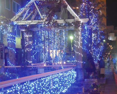 夜を彩る青と白 来月１５日まで宇都宮でイルミネーション 東京新聞 Tokyo Web