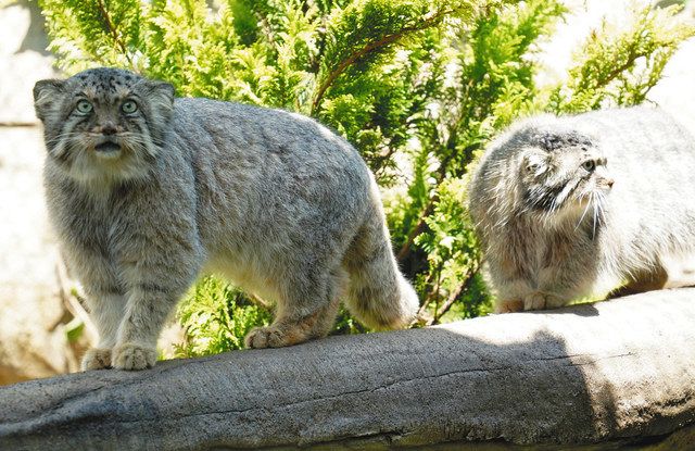 栃木 動物園