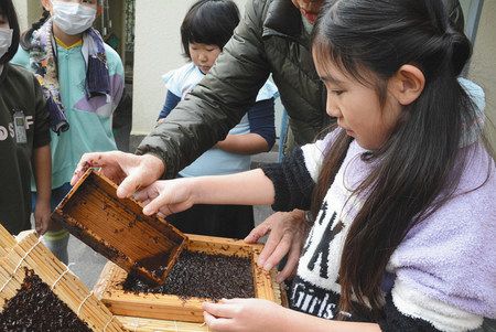 海苔すきを体験する子どもたち＝江戸川区で（区提供）
