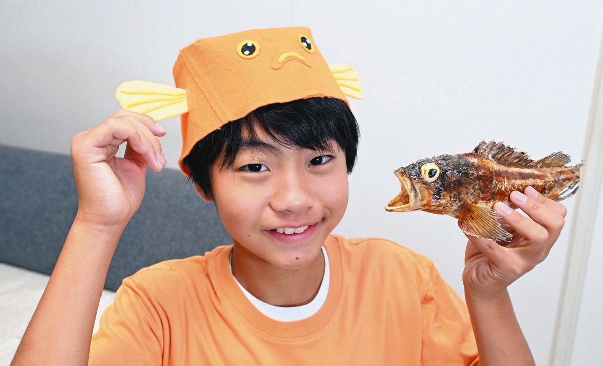 【希少本】美味しいマイナー魚介図鑑 美味しいマイナー魚介図鑑 / ぼうずコンニャク（藤原昌高）【著