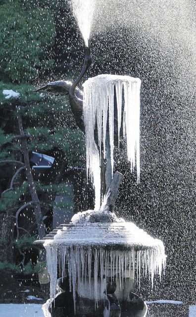 空から雪が降る