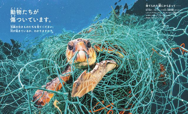 子どものあした ５ ５ こどもの日 動物たちを傷つけるプラごみ問題伝える 港区の子ども本専門店が刊行 東京新聞 Tokyo Web