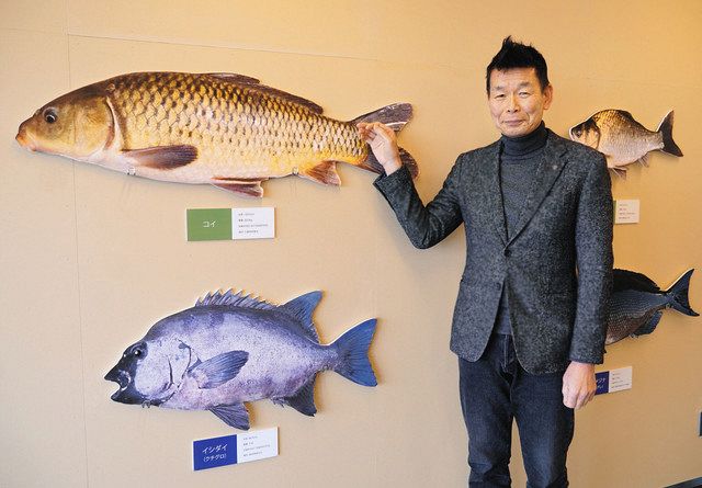 漁業の未来を三浦で育む 日本さかな専門学校が来月開校 ビジネス分野の