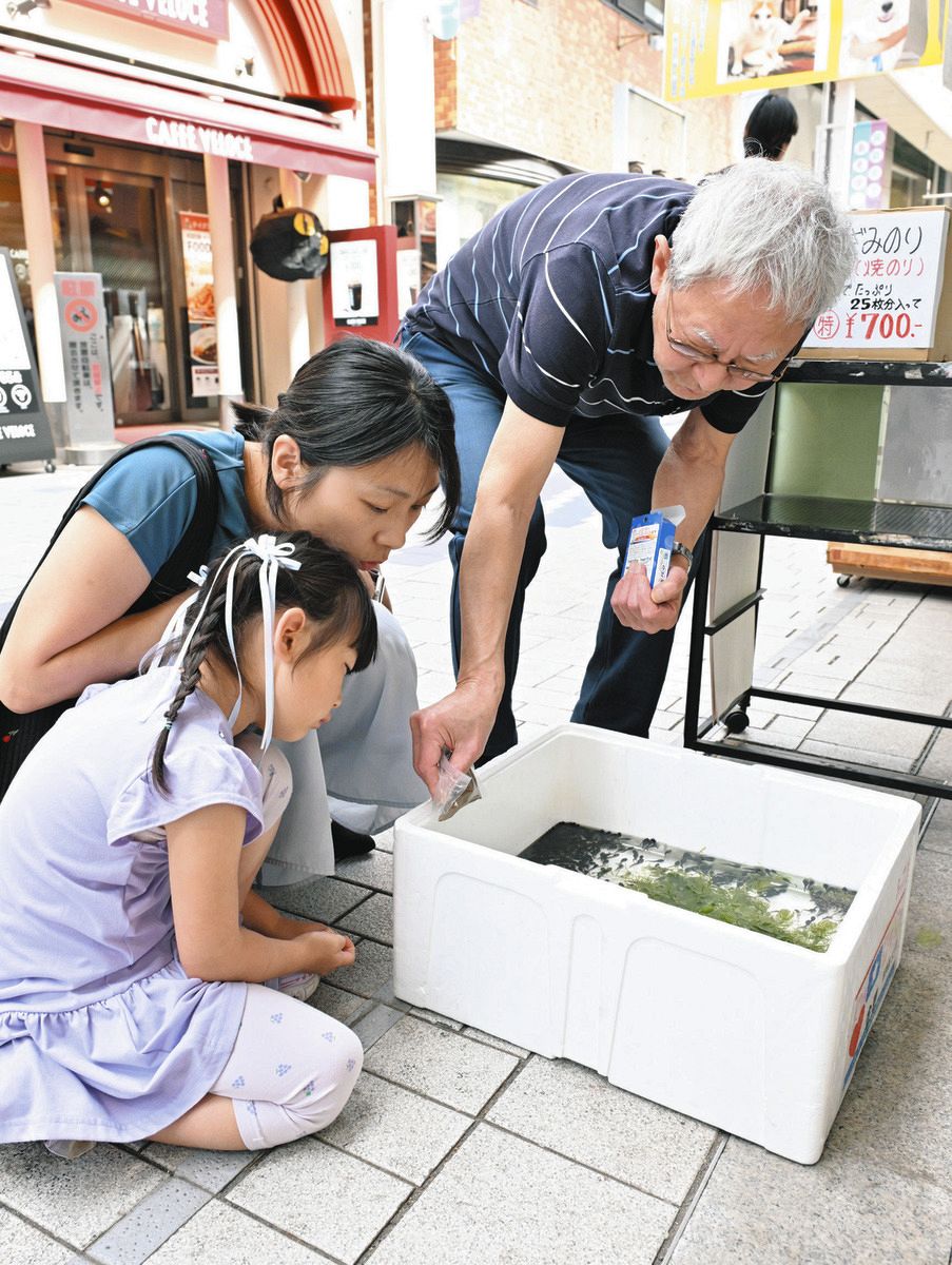 阿佐谷のお茶屋さん、オタマジャクシがお出迎え 商店街名物として半