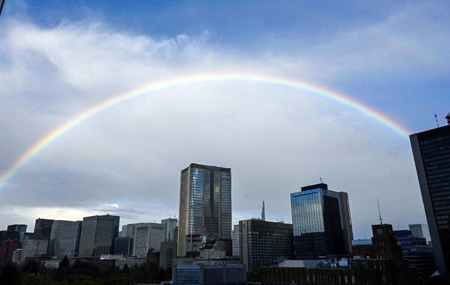 都心に虹がかかる 東京新聞 Tokyo Web