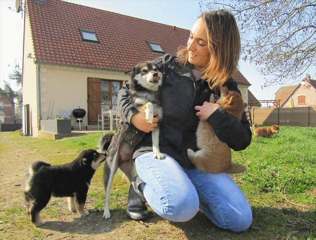 ３月下旬、フランス北部アシュリーの「サクラ・ケンシャ」で、柴犬たちに囲まれるオードリー・ボニガルさん