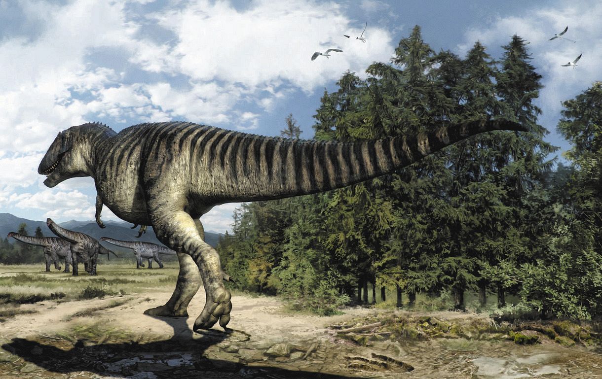中国で新発見の恐竜の名前は ノビタイ 命名した研究者 私も昔 のび太だった ドラえもん映画の一場面から着想 東京新聞 Tokyo Web