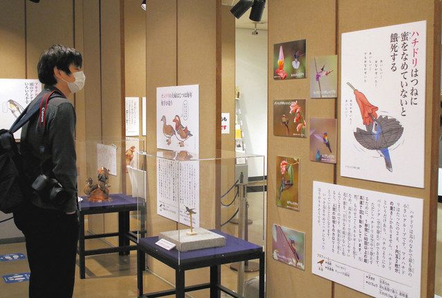 生き物の 残念 な一面紹介 水戸市立博物館で特別展 東京新聞 Tokyo Web