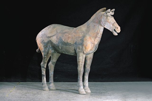レビューの多い高評価商品特集！ 兵馬俑？時代物 置物 オブジェ 馬 生々し その他