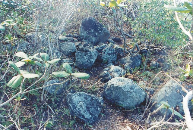 北硫黄島「石野遺跡」 石の謎30年 先史時代の痕跡、調査中断のまま：東京新聞デジタル