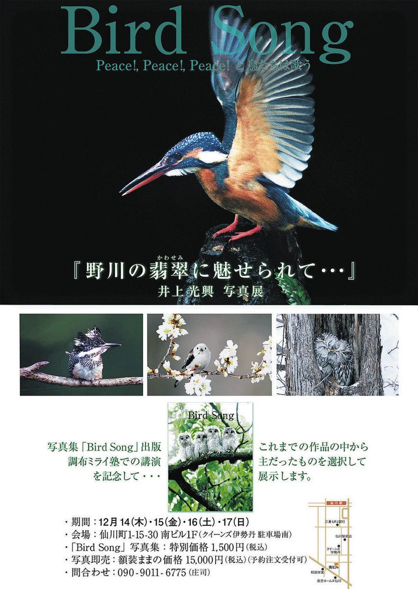 野川のカワセミに魅せられて 調布の愛好家・井上さん きょうから写真展