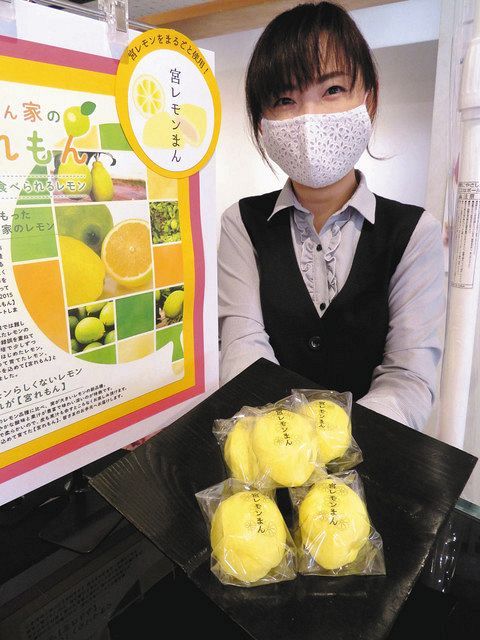 夏にぴったり 宮レモンまん 和菓子店が開発 さわやかな香り特徴 東京新聞 Tokyo Web