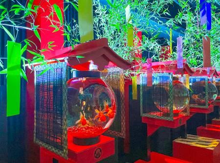 銀座に幻想的な金魚の館オープン 假屋崎省吾さんもコラボ：東京新聞