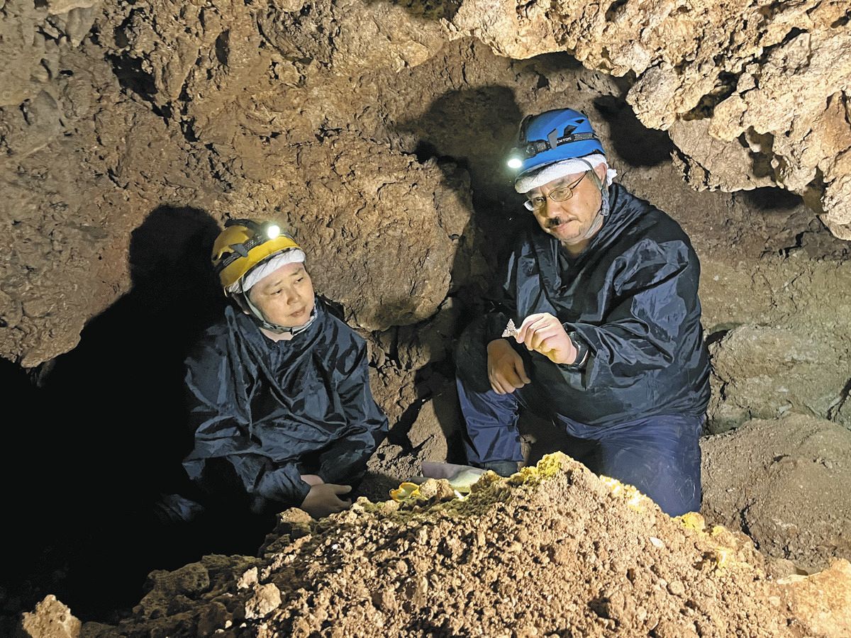 遺骨が語りかける「人生」を伝えたい…沖縄で収集活動を続け