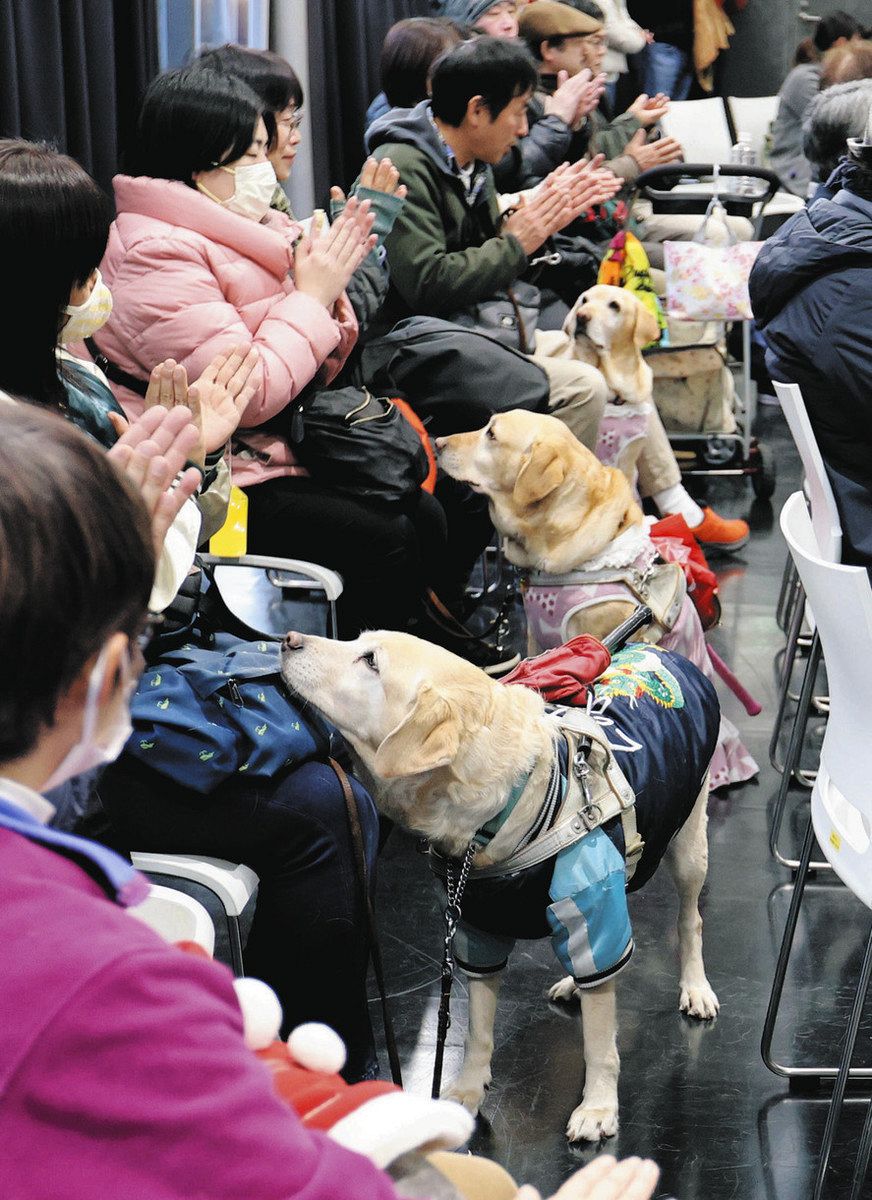 おやじカメラマン たっちゃん走る＞全国で活躍する盲導犬836匹に届け