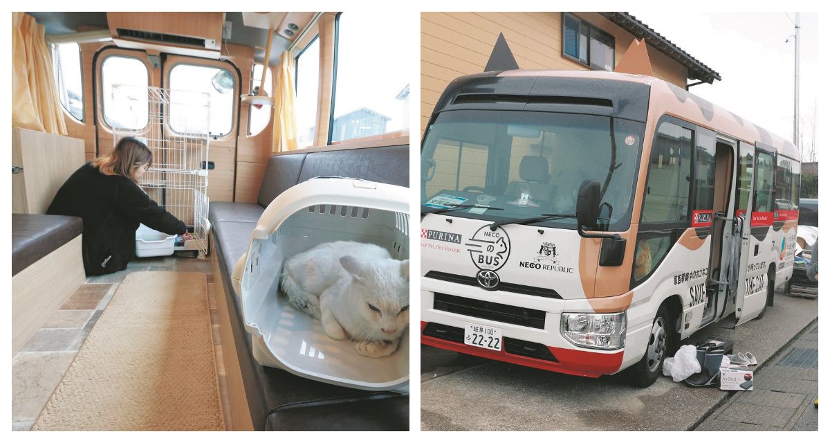 ネコバス」で預かります 珠洲市に猫専用避難所 岐阜の愛護団体が開設
