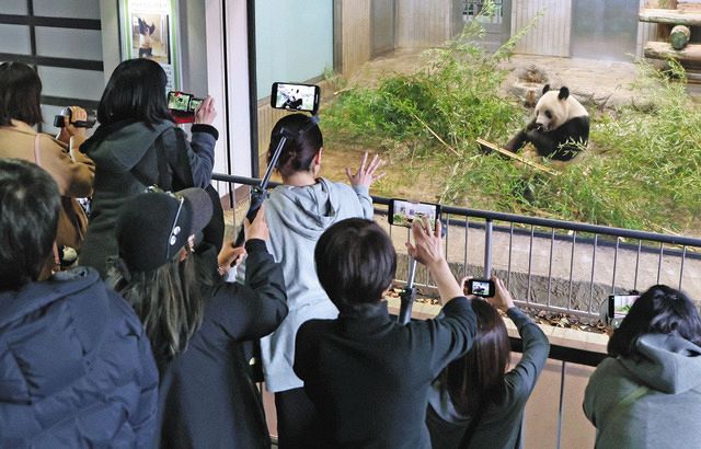 シャンシャン、元気でね…ついに中国に返還、上野動物園で観覧最終日
