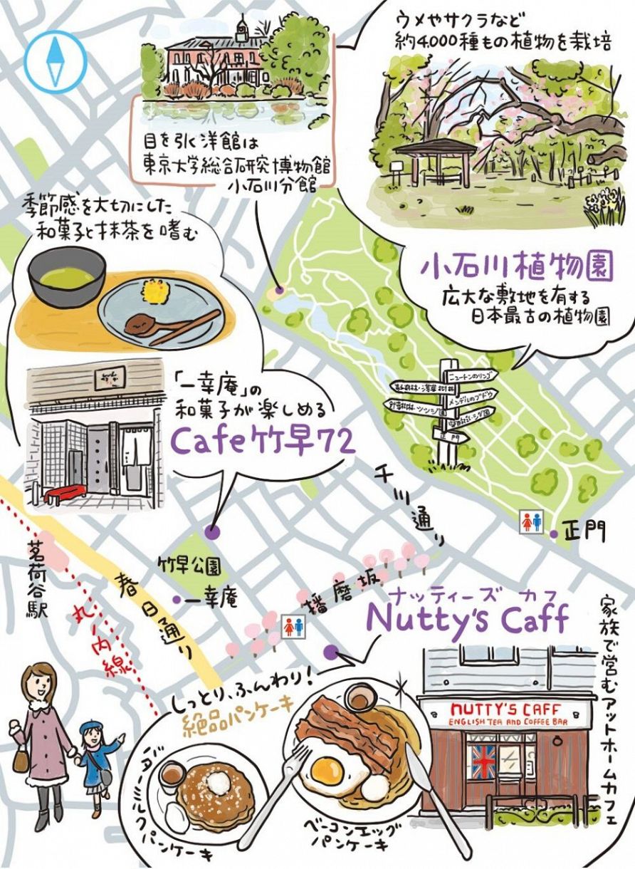 小石川【文京区】桜の名所・播磨坂から小石川植物園へ。おしゃれ