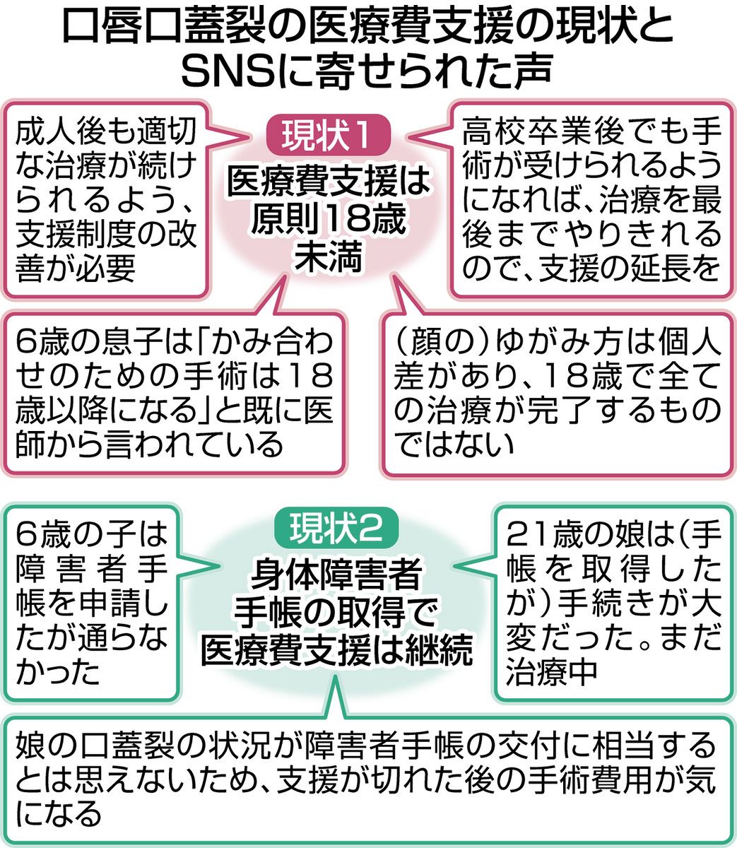 口唇裂口蓋裂の総合治療 成長に応じた諸問題の解決 口唇裂口蓋裂の総合治療 成長に応じた諸問題の解決 口