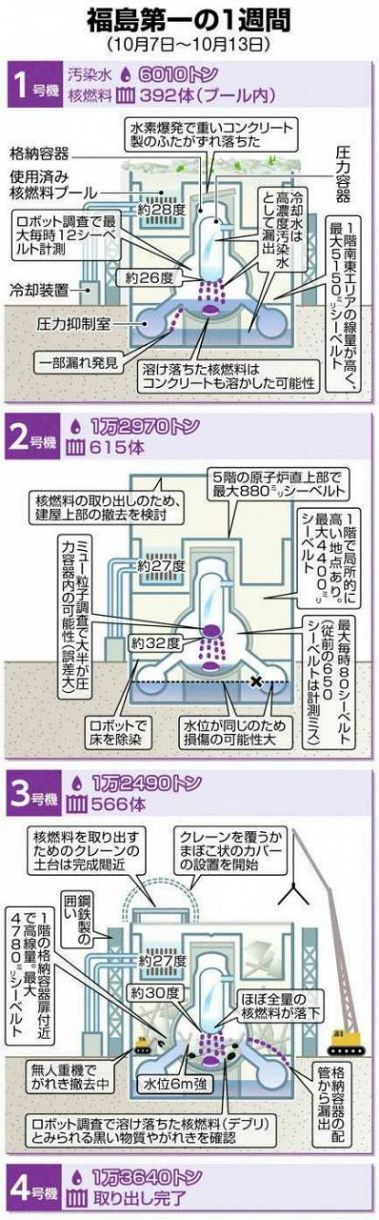 最高級品 fukushimaさん 7-4-1完了 | artfive.co.jp