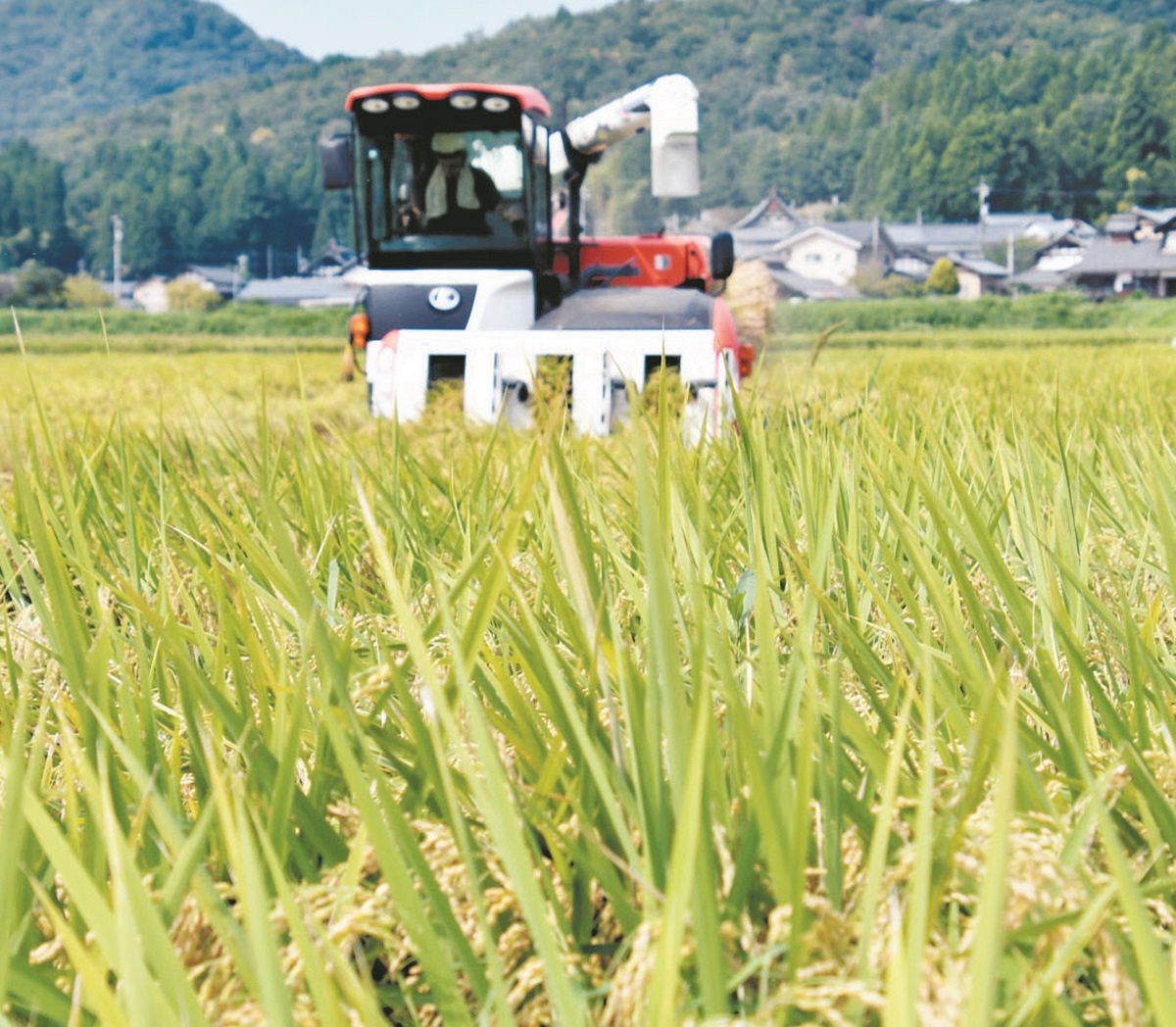 「時給10円」の衝撃…農家は「令和の百姓一揆」を決意した　作る側も買う側も苦しい「価格」、どう解決？：東京新聞デジタル