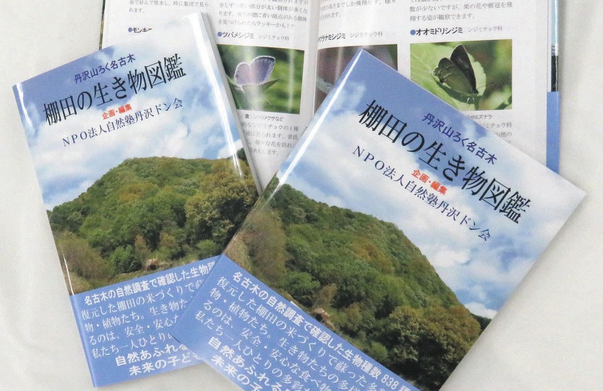 豊かな生態系を調べた「丹沢山ろく名古木　棚田の生き物図鑑」 