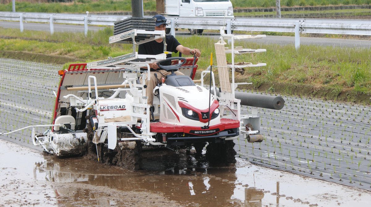 sbs792001 さん専用★紙マルチ★LKV6★三菱★177時間★田植え機★ 紙マルチ田植え機 文字通り紙を田面に敷きながら田植えをします。 庄内
