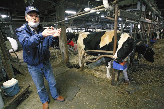 高濃度に汚染された飯舘村で、牛の世話を続けた長谷川健一さん＝２０１１年３月３０日、豊田直巳さん提供
