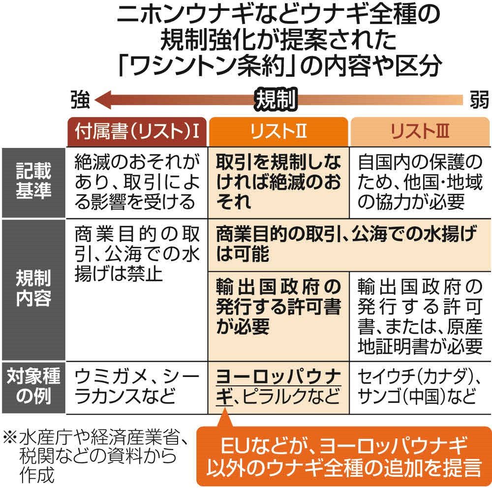 ウナギに「国際的取引規制」がかかる？ 絶滅危惧でワシントン条約事務