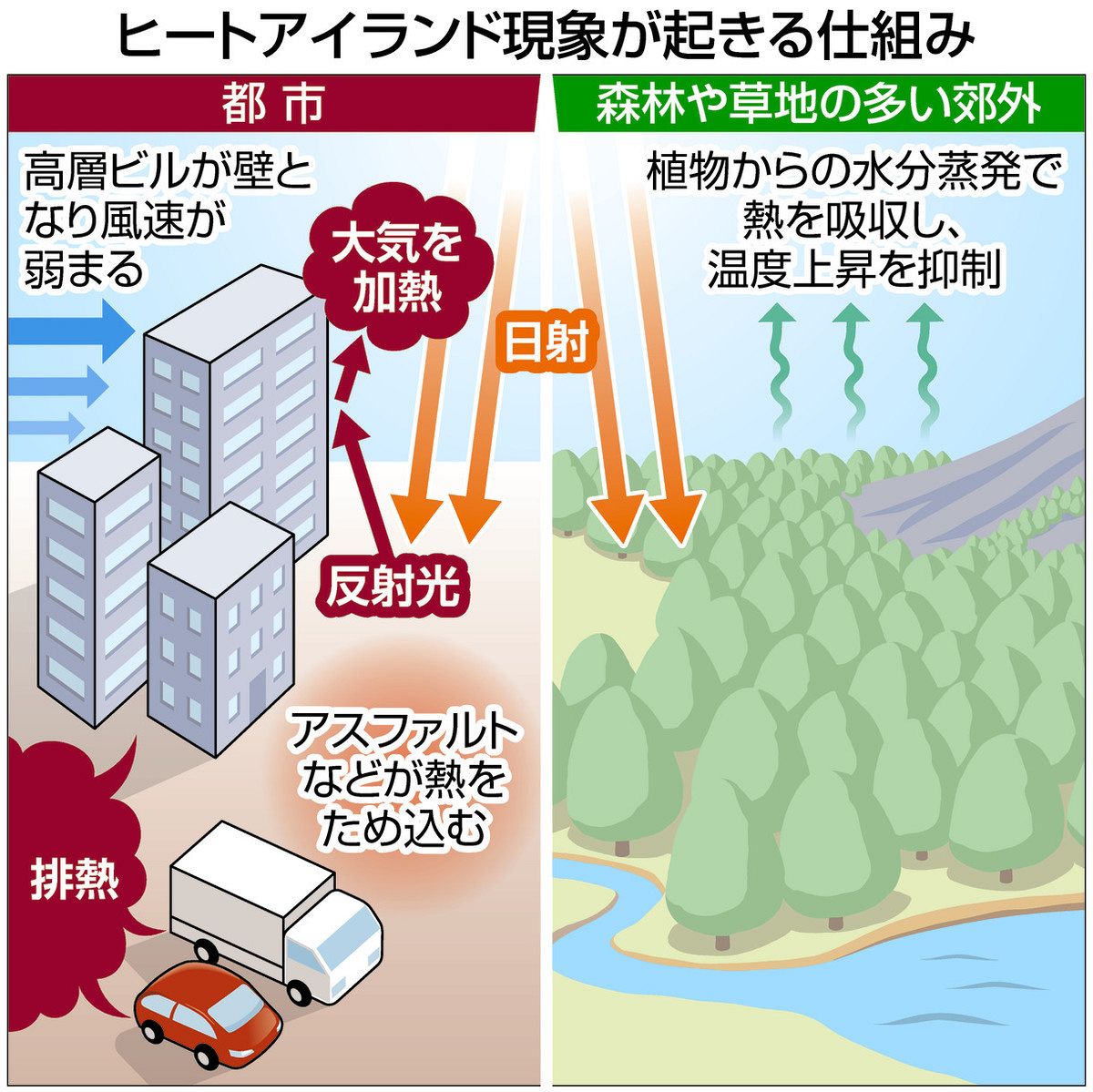 活動歴および当時の関連ビジュアル記録