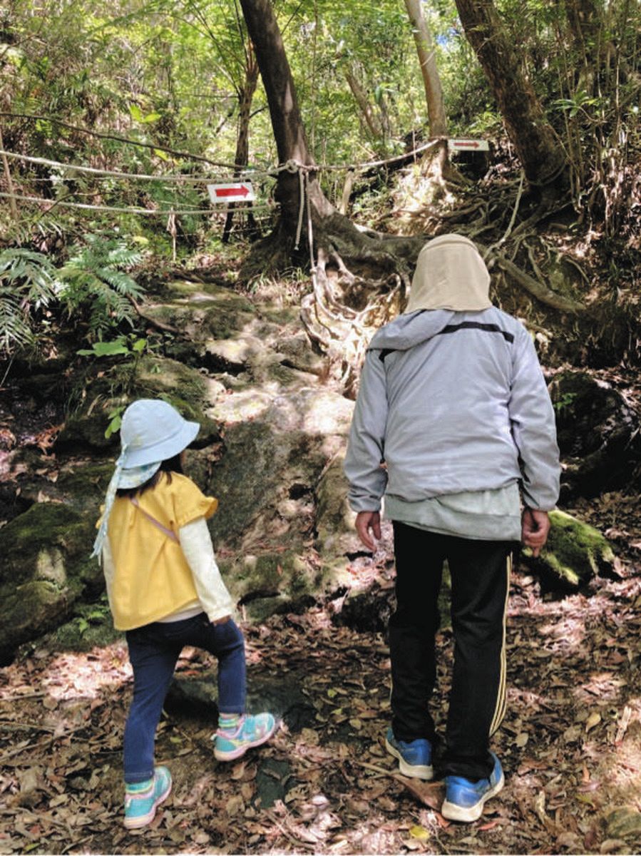 春の日、伊波さんの父と娘が並んで歩く山道は、新緑が芽吹いていた。（佐藤直子撮影）
