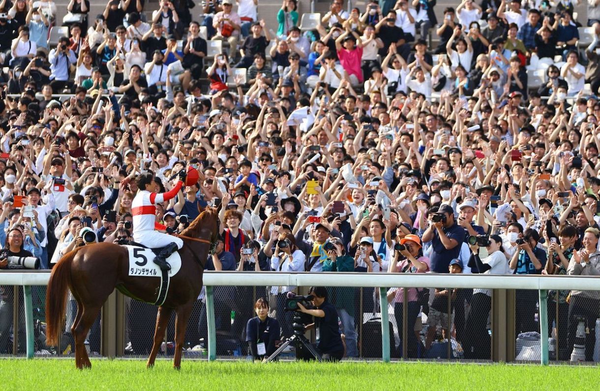 冬ギフト セ 第91回日本ダービー ダノンデサイルが頂点：東京新聞デジタル コレクション